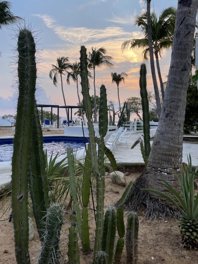 Hotel Villa Mexicana Puerto Escondido Zewnętrze zdjęcie